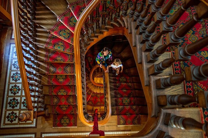Larnach Castle & Otago Wildlife Cruise from Dunedin - Photo 1 of 16